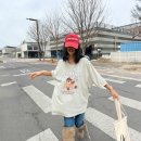 피그먼트