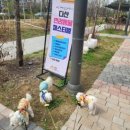 킨더라스 다산점 이미지