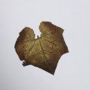 행복한마당 이미지