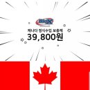 바이오엑스BIO-X 이미지