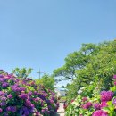 동광리-5 이미지