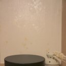 페트코코 이미지