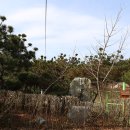 충남농산