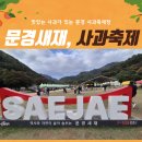 한국관광공사 선정 관광지 100선 중 1위 문경새재의 사과축제장을 다녀오다(현지인 주차꿀팁 포함)