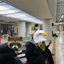 고분도리협동조합 | [대전여행🥖] 줄서서 성심당 케이크 사고 줄서서 꿈돌이 티셔츠 만드는 후기