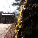 솔바람풍경소리 이미지