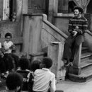 winning dog story's 이미지