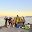 티피컬짐 | [후기] 3박4일 나오시마 아트어라운드 프리미엄 아트투어 2일차 | 쿠사마 야요이 노란호박, 밸리 갤러리...