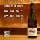 몽 village 이미지