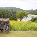 안동문화관광지 이미지