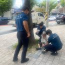 제2기동대 이미지