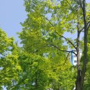 양주동행정복지센터 이미지