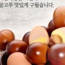 주령축산 네이버블로그