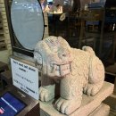 행정용 19번 | 광안리 고기집 83해치 구워주는 속도 보통아이오