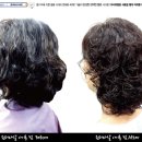 원더파마