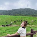 영석목장 이미지