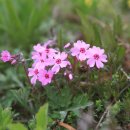 경동초등학교 이미지