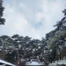 동원연탄불생고기