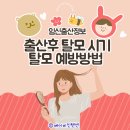 출산후 탈모 시기 탈모 예방방법