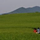 윤용하 농장 이미지