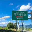 건천편백숲내음길 네이버블로그