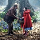 숲속으로 이미지