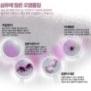 피톤바이오