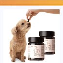 멍멍이네 | 눈물 뚝! 꿀피부 멍멍이 비결? 디어랩스 강아지 종합영양제 솔직 후기