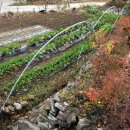 죽장보건진료소 이미지