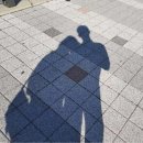 야사시