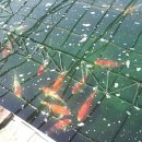 광릉금리원 이미지