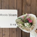 모이스블룸