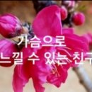 친구처럼B 이미지
