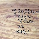 스테이포레스트 이미지