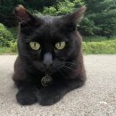 광덕산근린공원 이미지