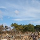 다금농장 이미지