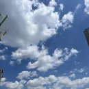 탕화쿵푸 외대점 | 마라탕, 마라샹궈 맛집 탕화쿵푸 외대점 배달 후기