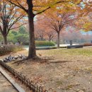 라페스타 동물병원 이미지