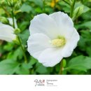 무궁화체육관 이미지