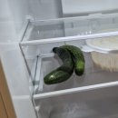 오슬로펜션 | 경북 경주 여행 [ 오슬로 펜션 ]