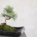 해송가든 이미지