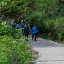 청계산 등산로 이미지