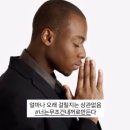 바오하우스