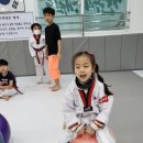 한우리태권도 이미지