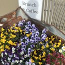 숲향 | 청계산 카페 올드반야드 | 숲향 가득한 브런치 감성카페 후기