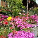 아름드리펜션 이미지