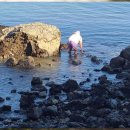 마레미오 커플가족&오션뷰펜션 이미지