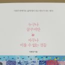 초록잎새 이미지
