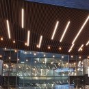 종로순두부 쭈꾸미