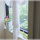 라니아에스테틱에서 받았던 피부와 체형관리 후기! 진짜 만족했어요요~